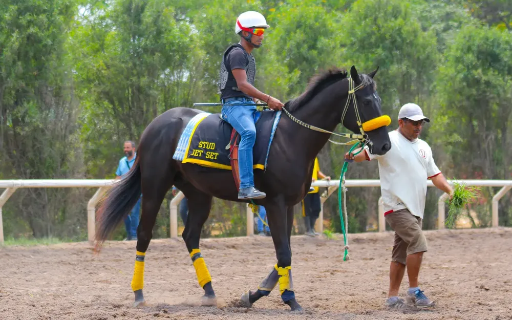 WhatsApp Image 2024-02-19 at 1.38.23 PM (1)