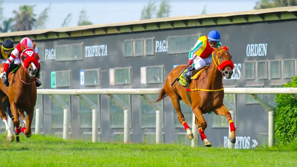 WhatsApp Image 2023-12-10 at 4.25.23 PM