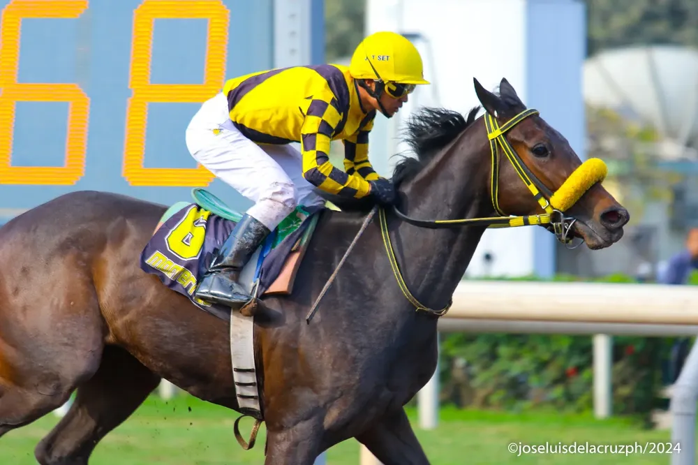 WhatsApp Image 2024-08-26 at 12.55.13