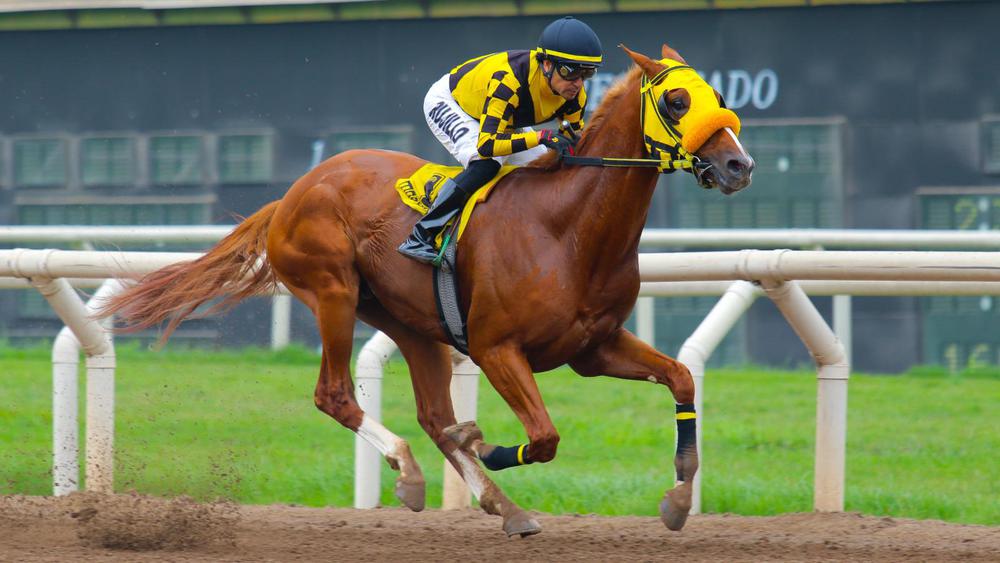 WhatsApp Image 2023-08-15 at 2.52.45 PM