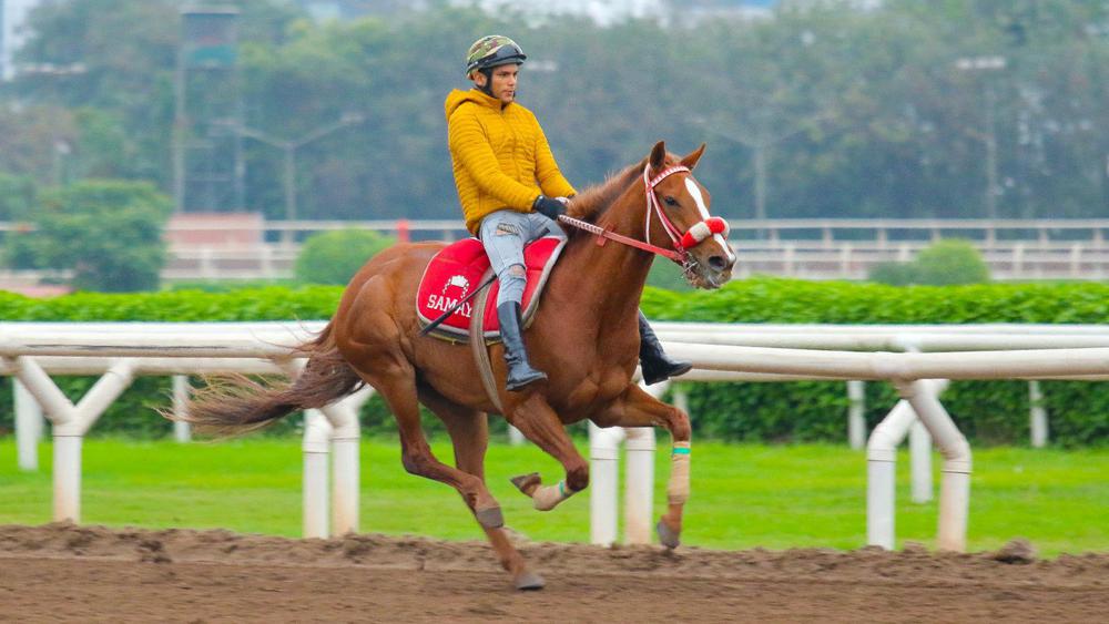 WhatsApp Image 2023-08-02 at 11.50.21 AM