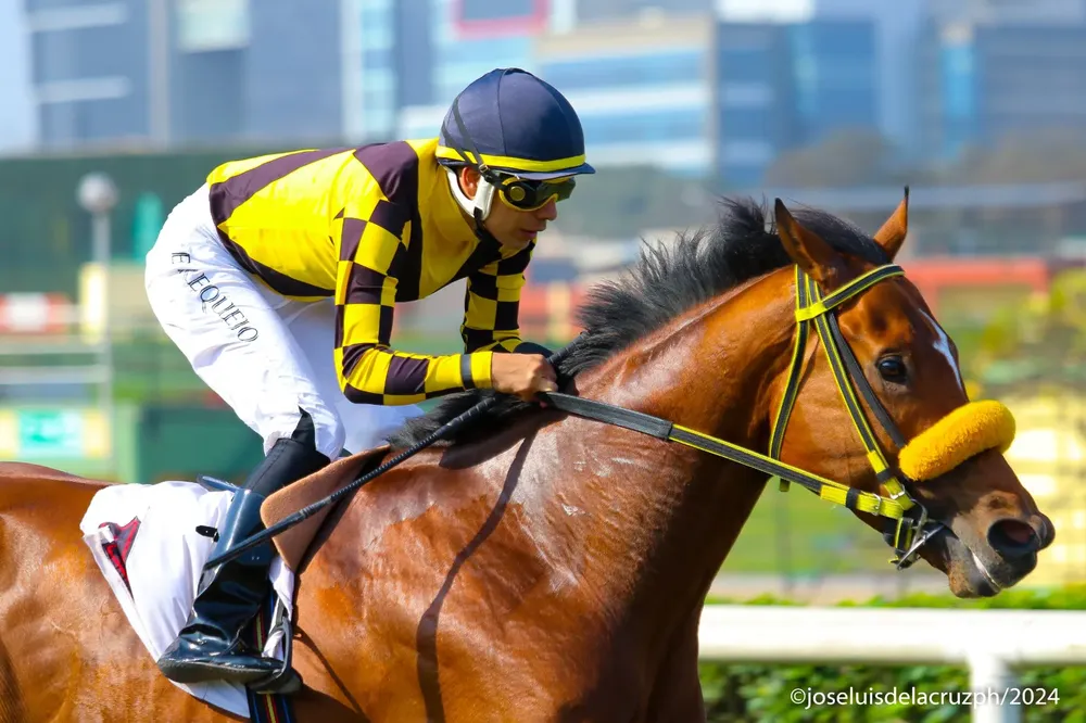 WhatsApp Image 2024-08-29 at 20.51.35