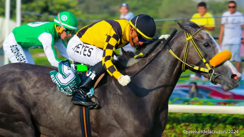 WhatsApp Image 2024-02-10 at 5.36.27 PM (1)