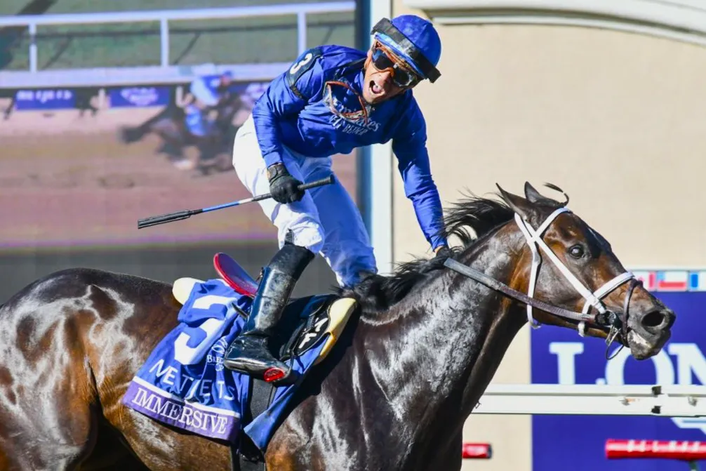 WhatsApp Image 2024-11-01 at 17.48.44