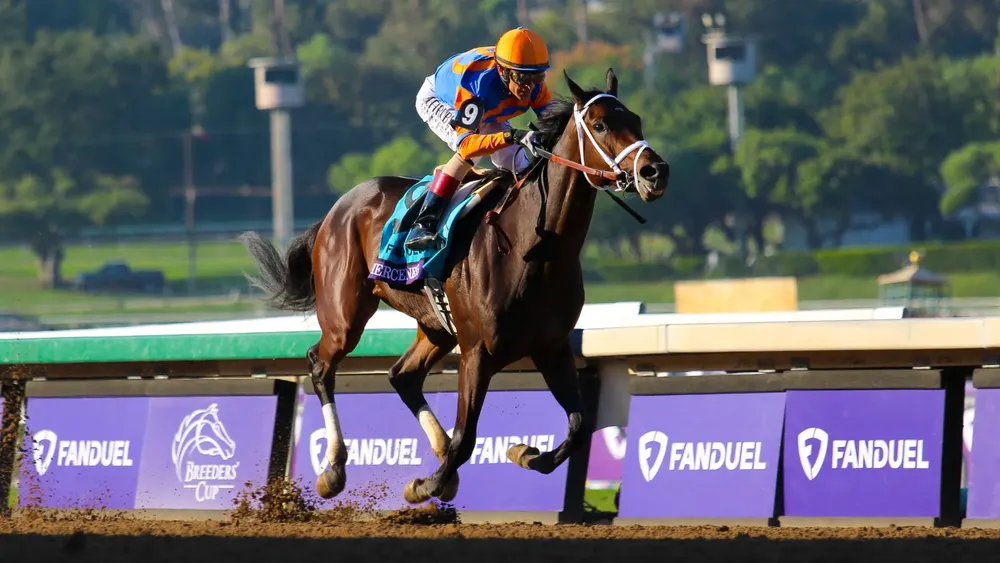 WhatsApp Image 2023-11-03 at 4.24.53 PM