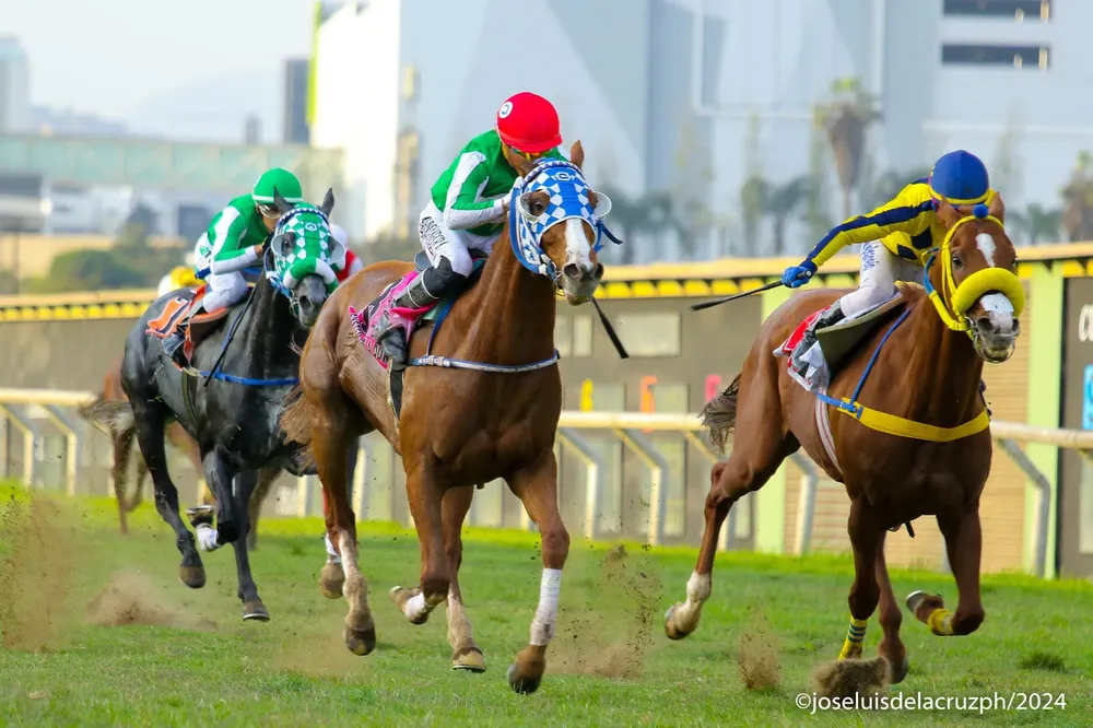 WhatsApp Image 2024-10-14 at 10.19.55 (1)