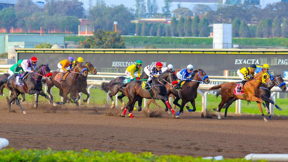 WhatsApp Image 2023-08-13 at 10.46.38 AM