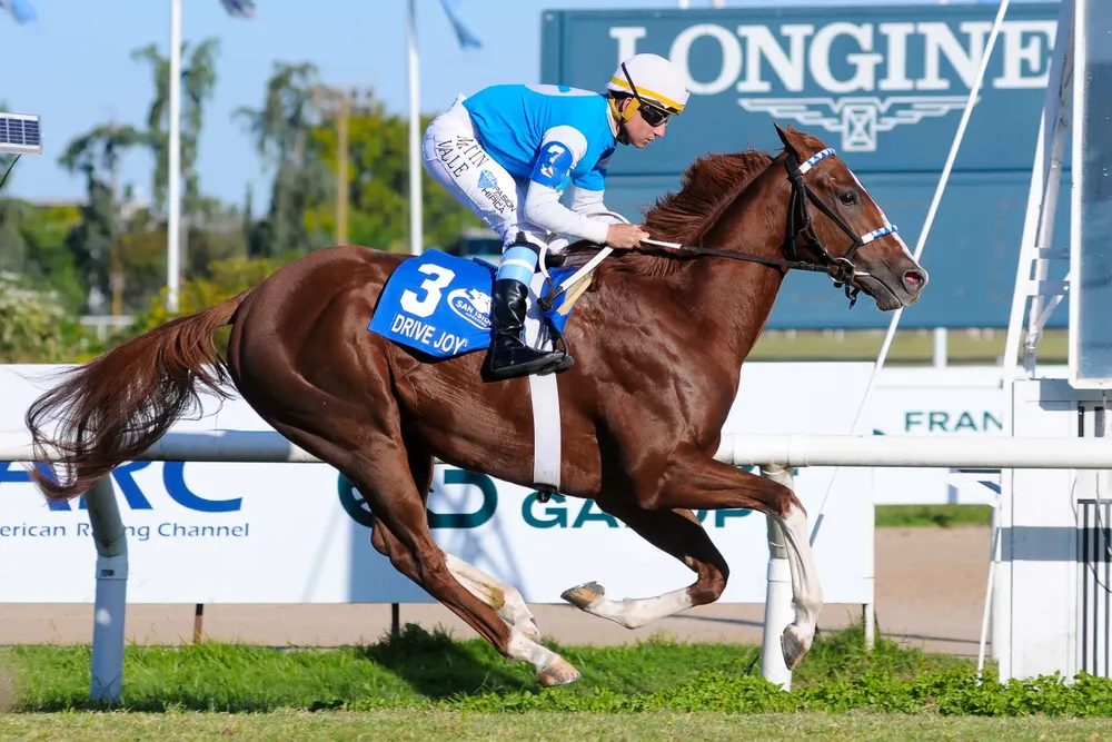 WhatsApp Image 2025-04-04 at 15.37.00