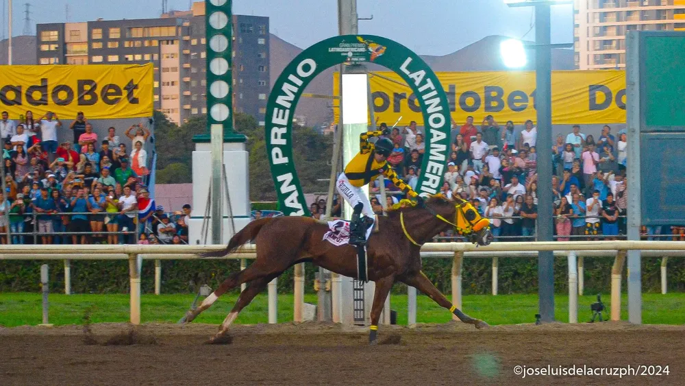 WhatsApp Image 2024-04-14 at 18.15.53