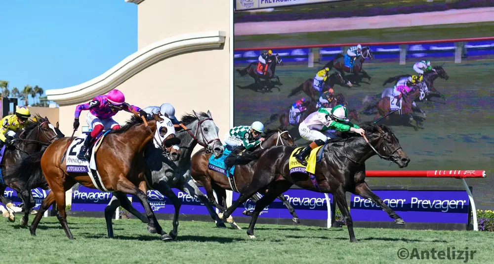 WhatsApp Image 2024-11-02 at 15.11.15