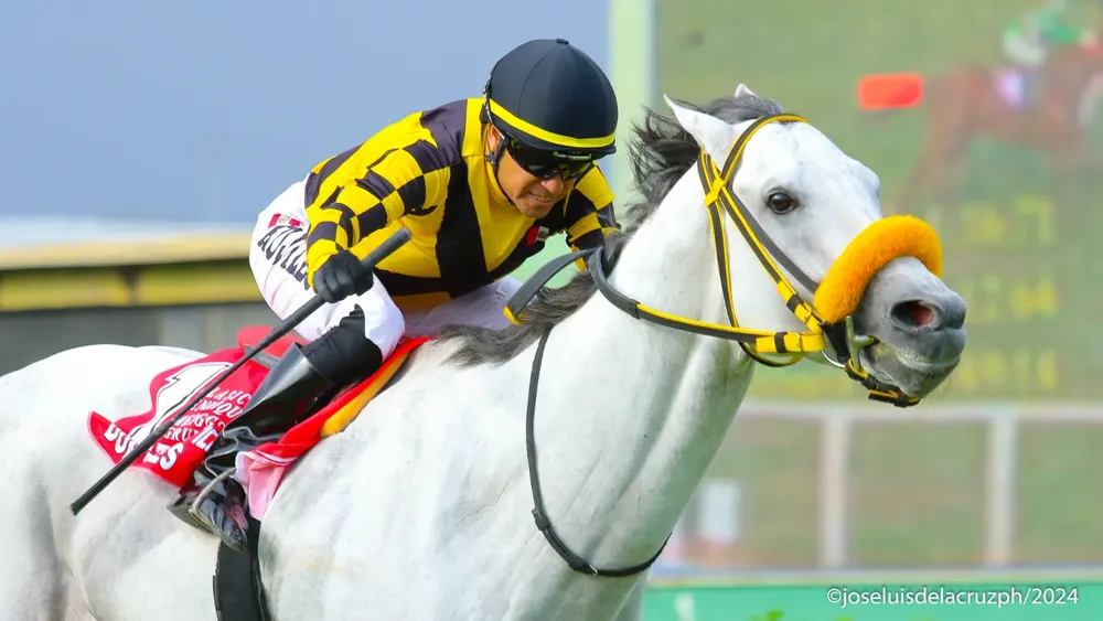 WhatsApp Image 2024-02-11 at 5.01.41 PM