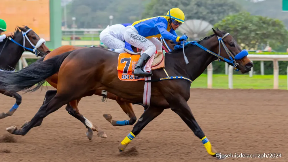 WhatsApp Image 2024-07-07 at 15.45.53