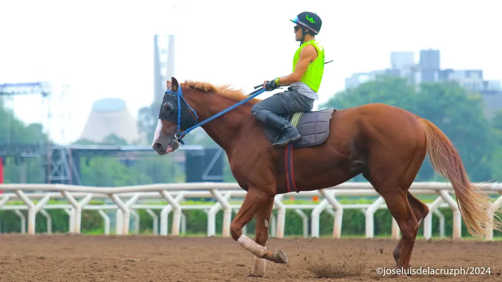 WhatsApp Image 2024-02-06 at 10.10.57 AM