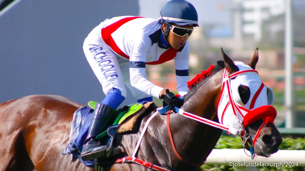 WhatsApp Image 2024-04-12 at 15.46.13