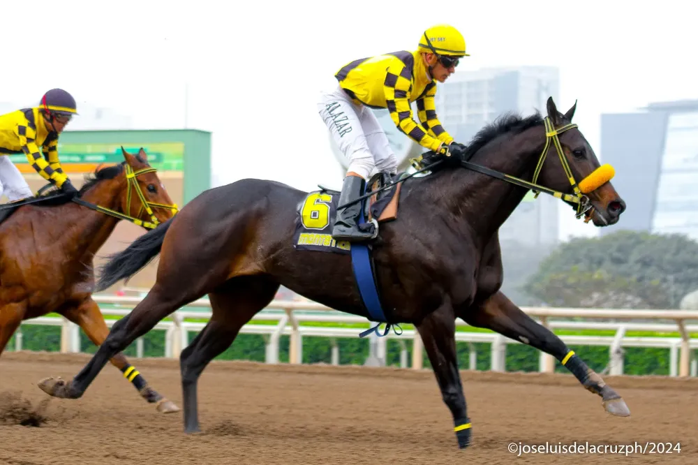 WhatsApp Image 2024-10-06 at 10.15.24