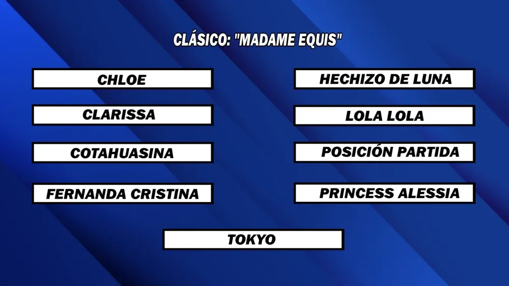 WhatsApp Image 2025-10-13 at 4.18.49 PM