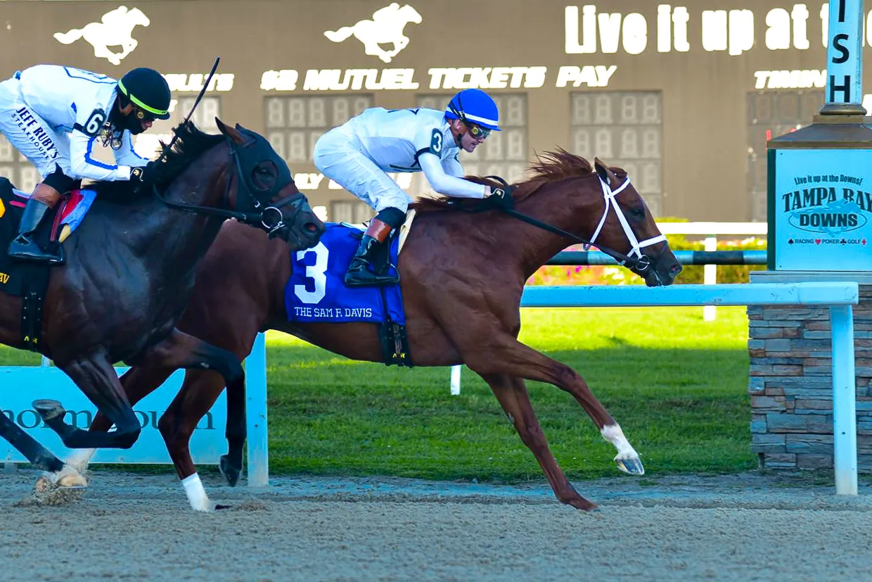 WhatsApp Image 2025-02-08 at 20.38.43