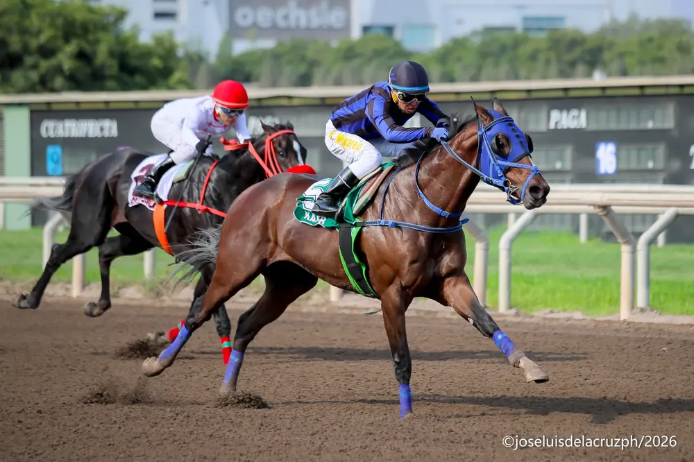 WhatsApp Image 2026-01-25 at 4.40.36 PM