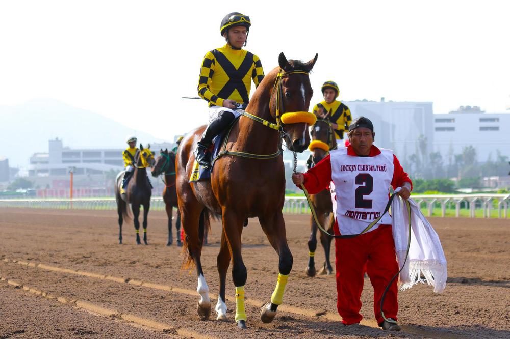 WhatsApp Image 2023-07-05 at 12.20.22 PM