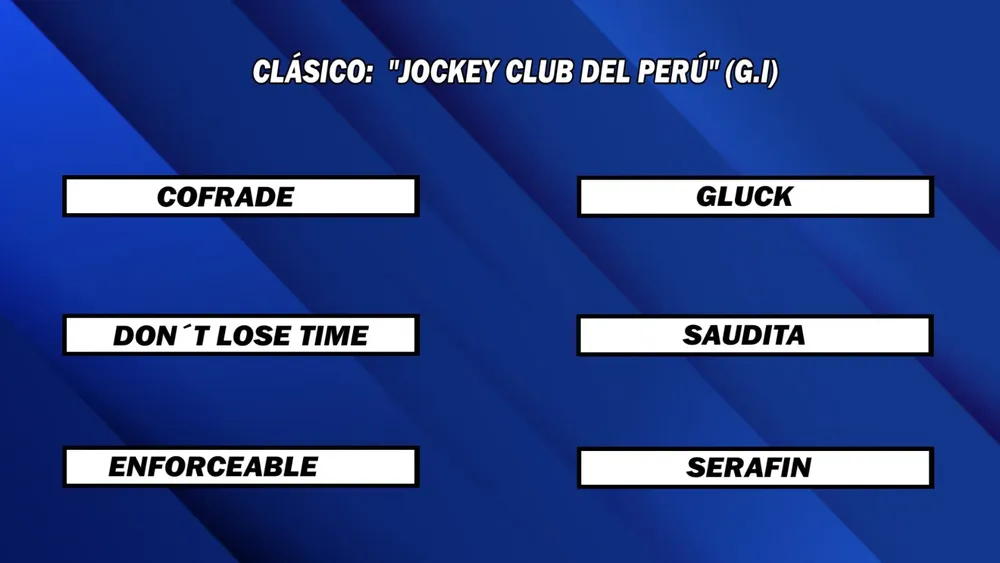 WhatsApp Image 2025-06-16 at 13.53.49 (1)