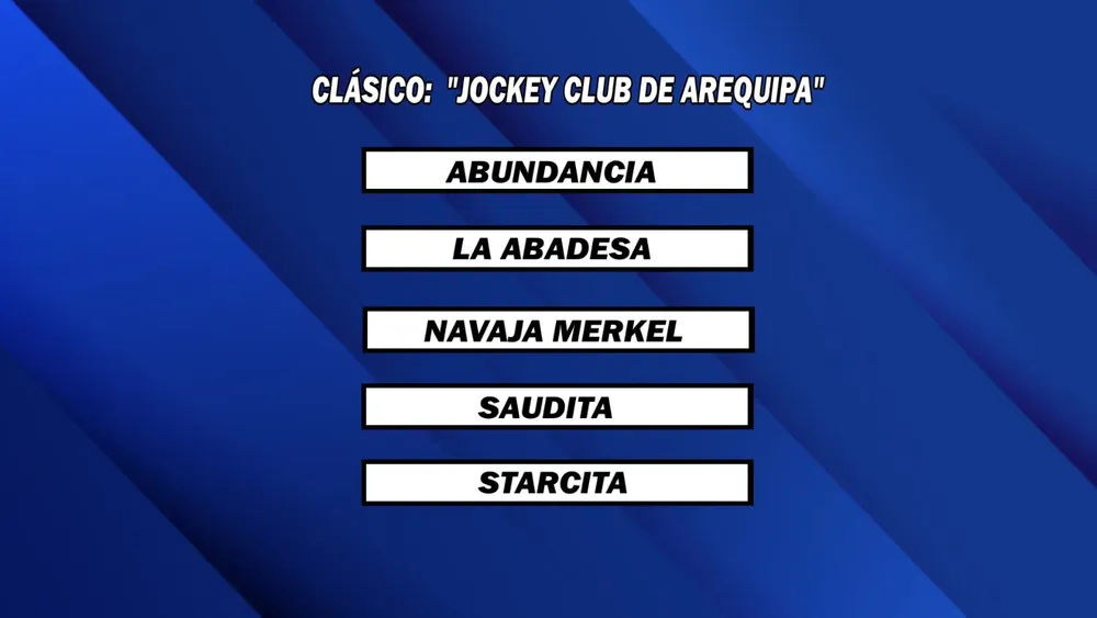 WhatsApp Image 2025-10-13 at 4.18.49 PM (1)