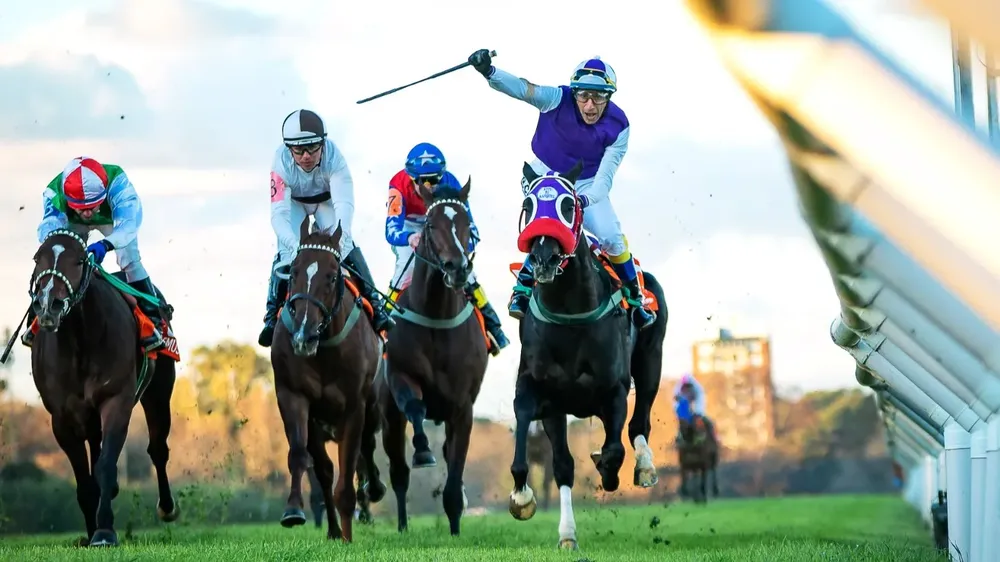 WhatsApp Image 2024-06-28 at 16.32.55