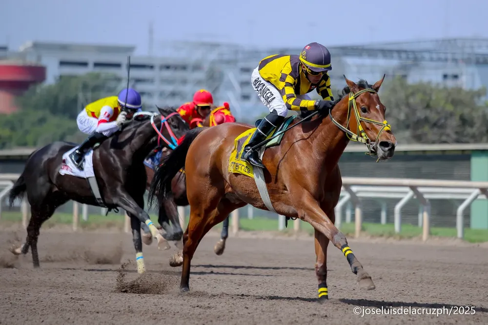 WhatsApp Image 2025-11-30 at 4.59.40 PM