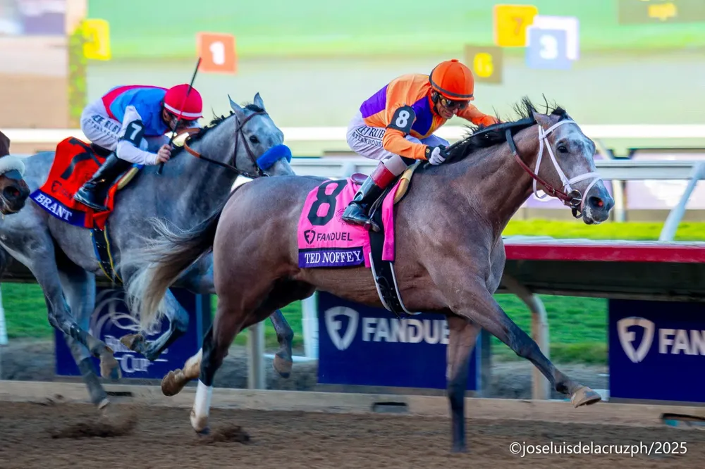 WhatsApp Image 2025-10-31 at 5.08.42 PM