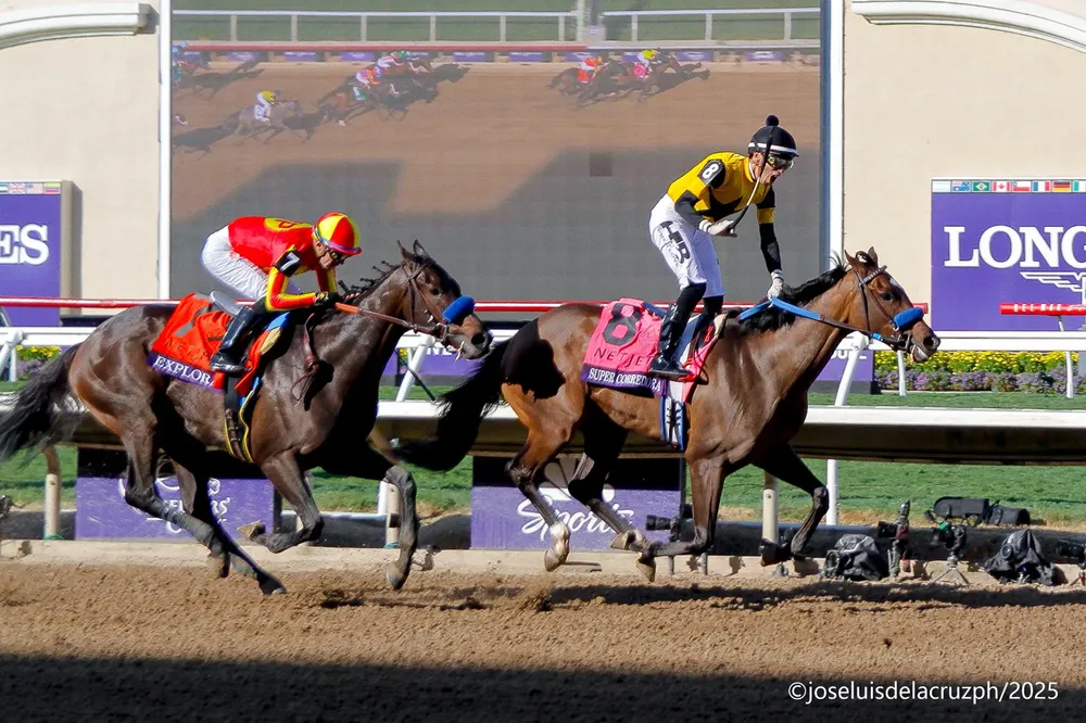 WhatsApp Image 2025-10-31 at 3.47.02 PM