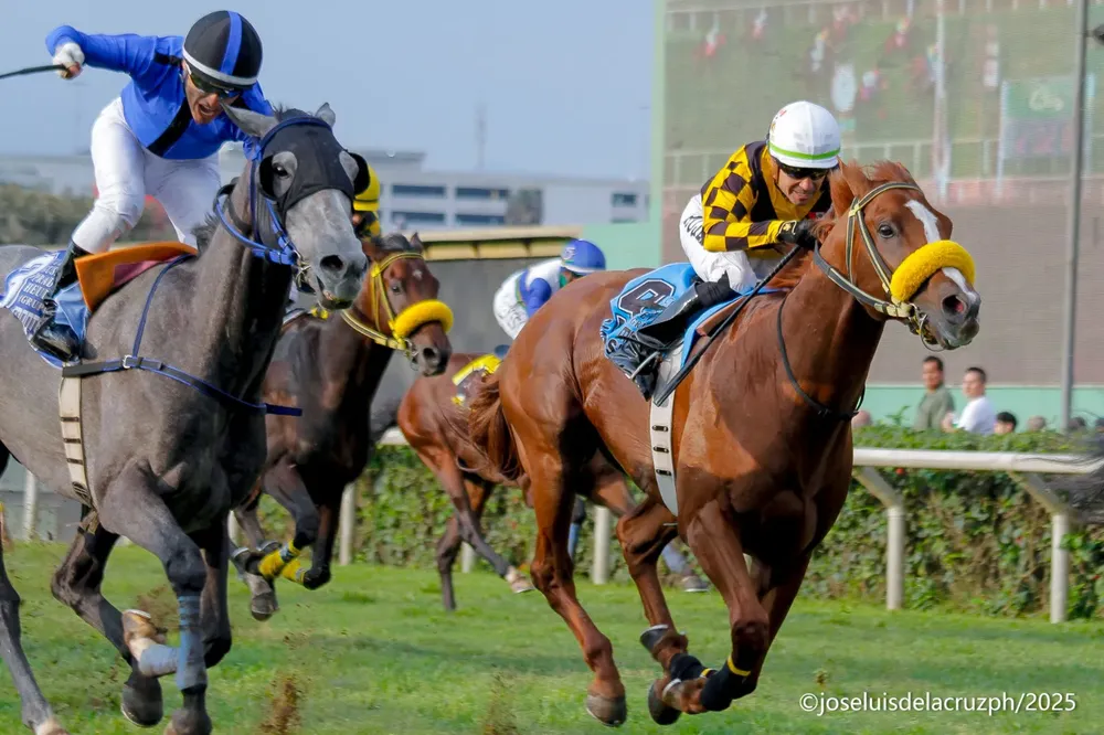 WhatsApp Image 2025-10-26 at 5.36.20 PM