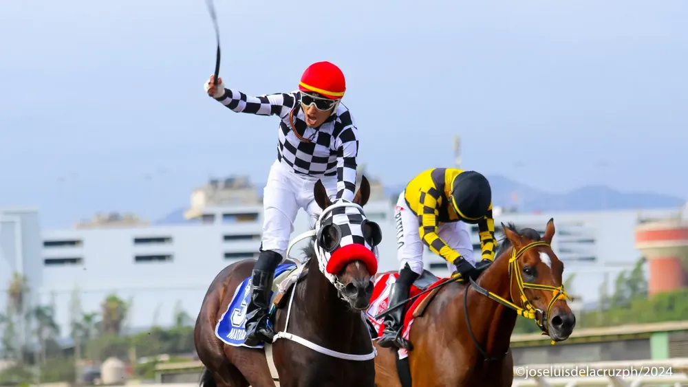 WhatsApp Image 2024-01-27 at 4.41.01 PM