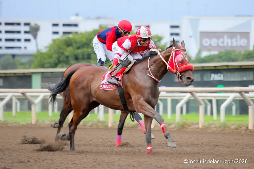 WhatsApp Image 2026-02-04 at 5.17.48 PM (2)