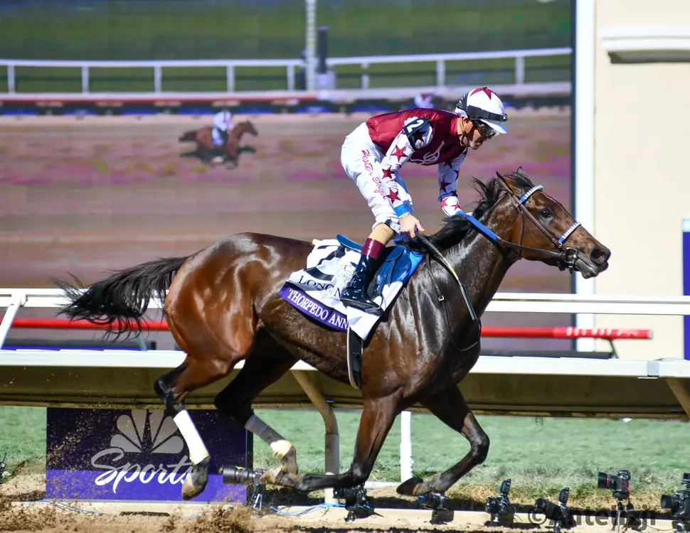 WhatsApp Image 2024-11-02 at 15.41.36