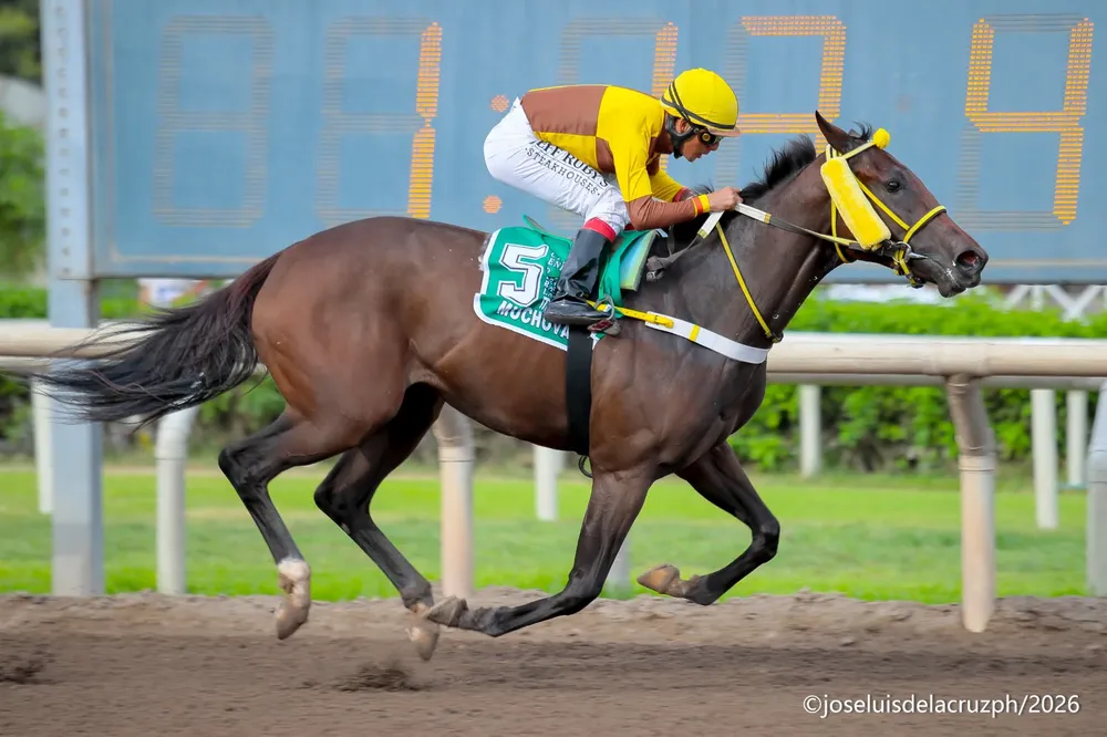 MUCHOVA - Foto: José Luis De La Cruz