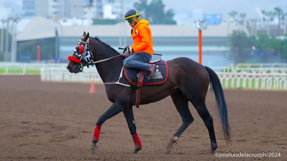 WhatsApp Image 2024-03-23 at 11.45.13 AM