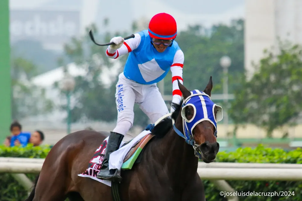 WhatsApp Image 2024-09-01 at 11.12.51