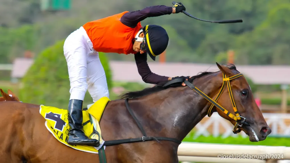 WhatsApp Image 2024-03-23 at 4.40.32 PM