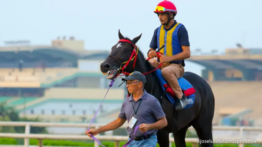 WhatsApp Image 2024-04-08 at 10.31.55