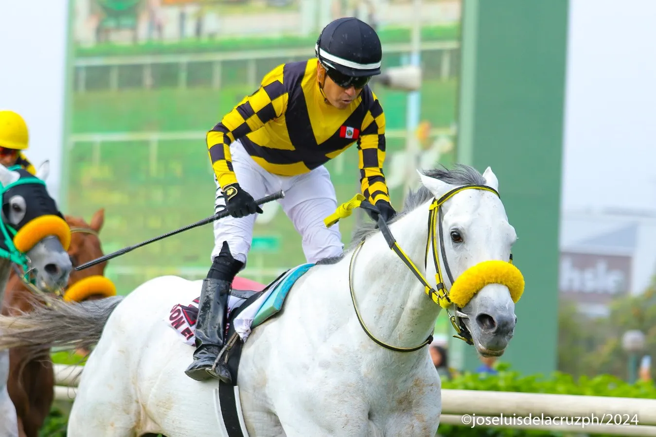 WhatsApp Image 2024-11-10 at 19.40.38