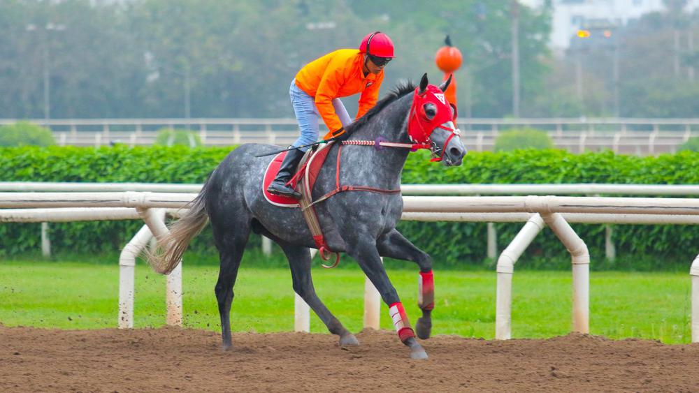 WhatsApp Image 2023-08-15 at 10.39.24 AM