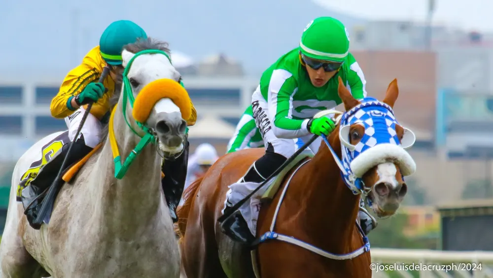 WhatsApp Image 2024-06-02 at 18.22.45