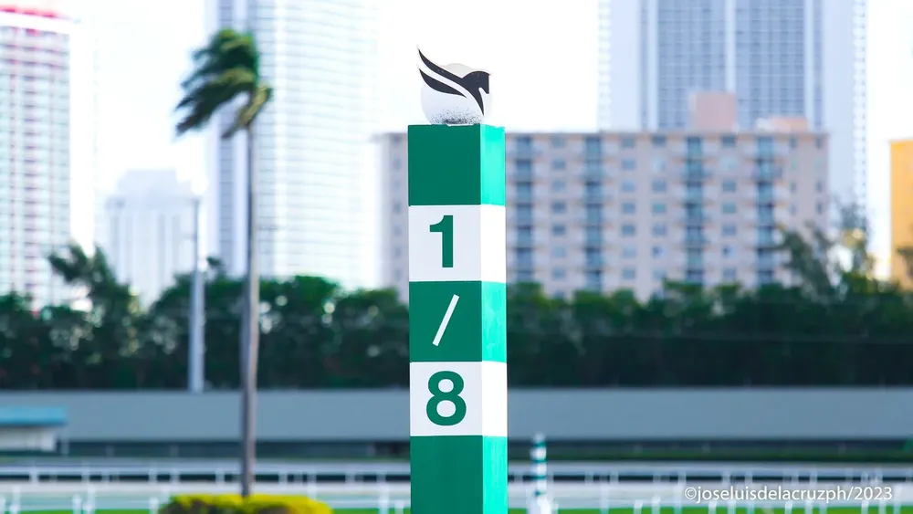 GULFSTREAM PARK - Foto: José Luis De La Cruz