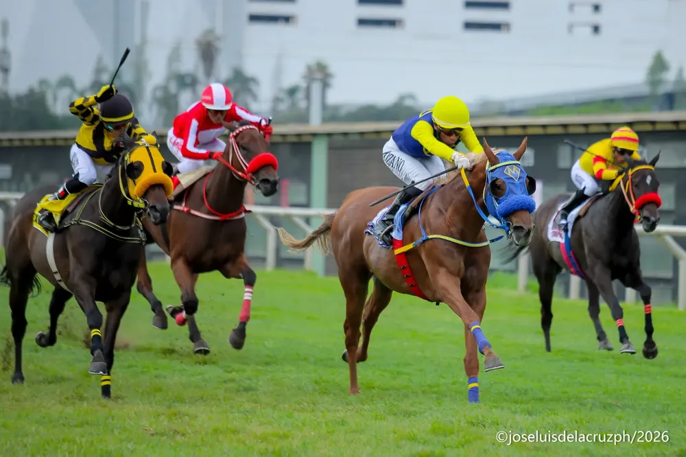 WhatsApp Image 2026-01-17 at 4.30.53 PM