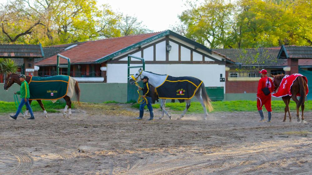 WhatsApp Image 2023-10-03 at 8.59.17 PM