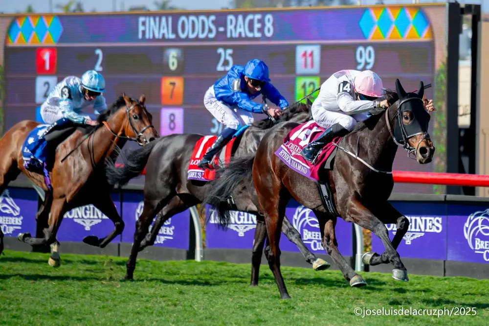 WhatsApp Image 2025-11-04 at 12.45.47 PM