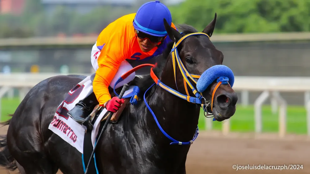 WhatsApp Image 2024-01-20 at 4.07.45 PM