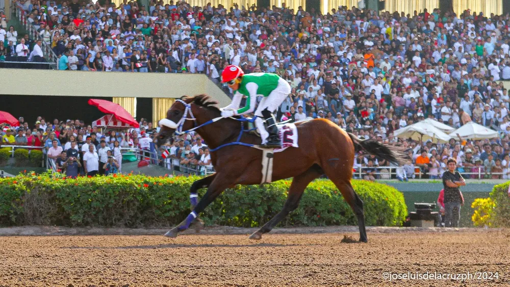 WhatsApp Image 2024-04-14 at 16.23.34