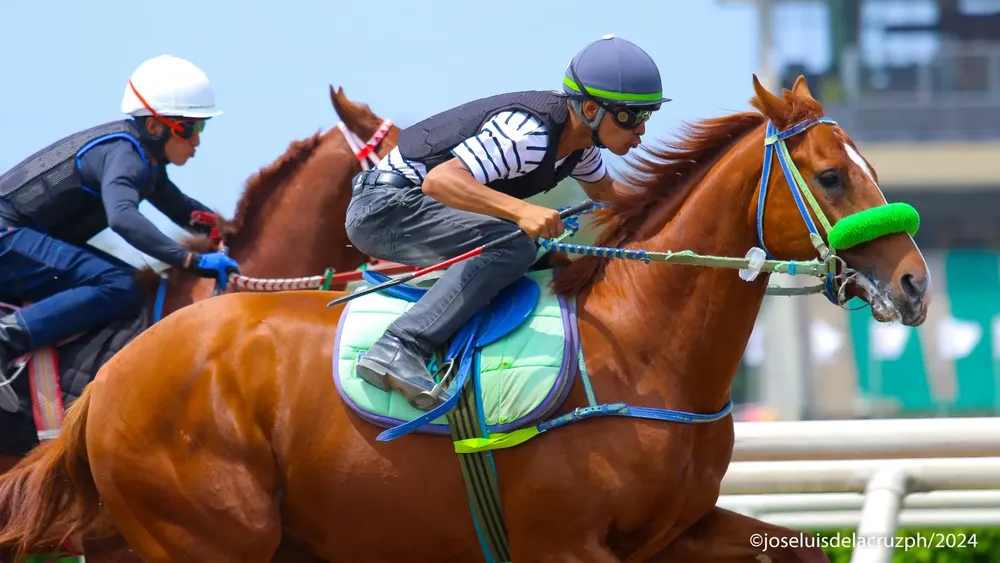 WhatsApp Image 2024-01-10 at 12.33.29 PM