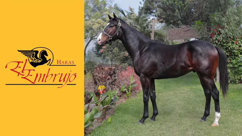 WhatsApp Image 2024-06-03 at 15.37.29