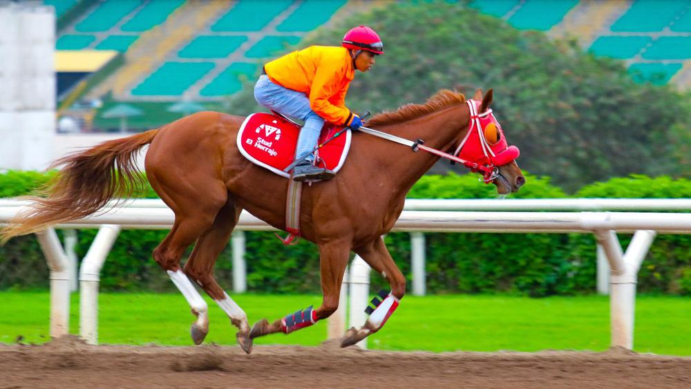 WhatsApp Image 2023-08-07 at 10.44.22 AM